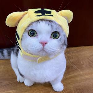 /static/upload/2026/01/04/202601044915.jpeg的头像